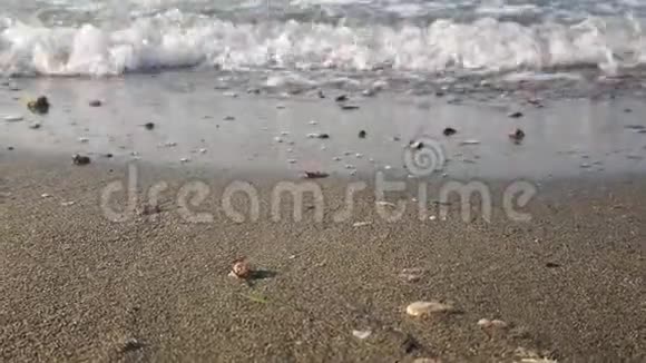 爱琴海海水冲刷沙质海岸卵石超慢运动镜头视频的预览图