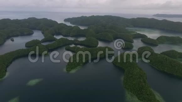 科罗岛许多绿色小岛带五颜六色珊瑚礁的帕劳海相视频的预览图