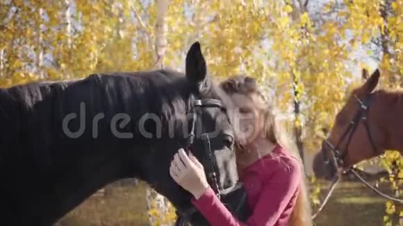 一个迷人的黑发白种人女孩穿着粉红色衣服拥抱和抚摸黑马的肖像美丽的女人视频的预览图