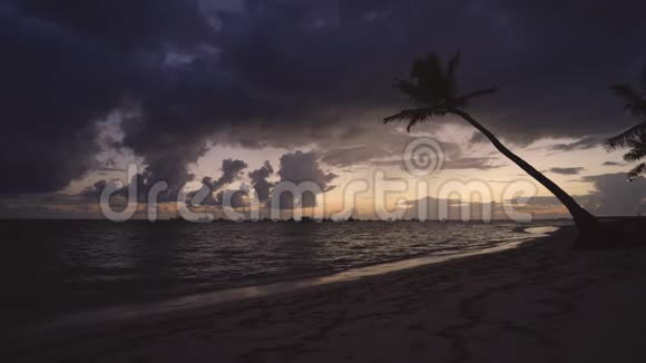 热带岛屿有棕榈树的异国海滩假期及假期背景视频的预览图