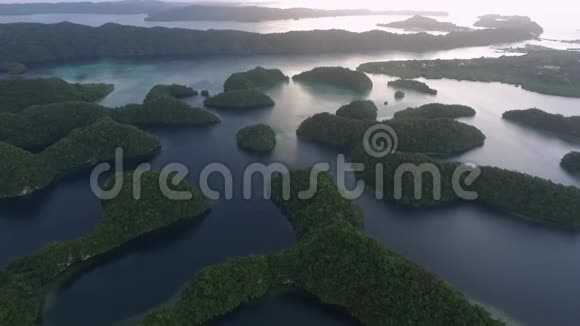 科罗岛许多绿色的小岛帕劳海相带五颜六色的珊瑚礁热带泻湖八视频的预览图
