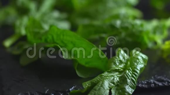健康的纯素食品概念新采摘的绿色菠菜叶的近距离背光放置在石板板和黑色背景上视频的预览图
