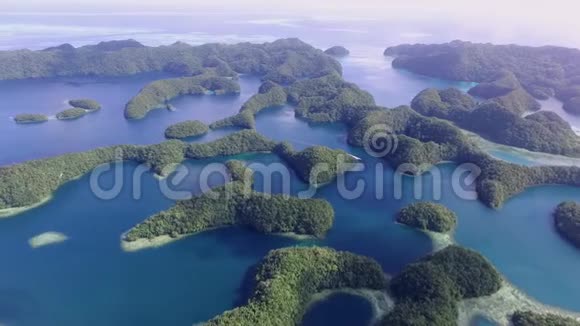 科罗岛许多绿色小岛帕劳海相带珊瑚色丰富热带泻湖三期视频的预览图