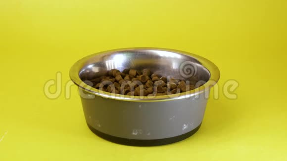 黄色背景下隔离的干宠物食品或添加到盘子碗中的干狗去猫食品视频的预览图