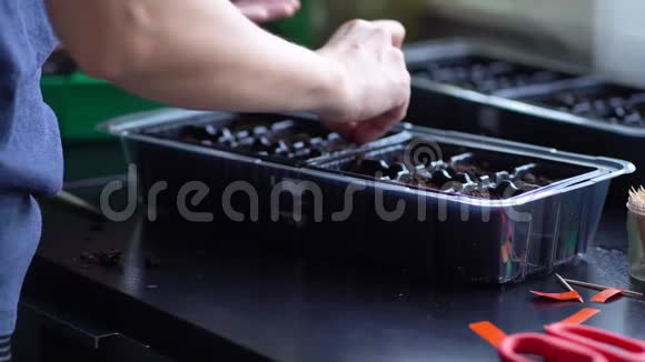 露天种植的苗木视频的预览图
