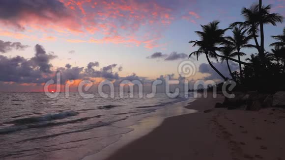带椰子棕榈树和异国情调的天堂岛海滩的热带日出视频的预览图