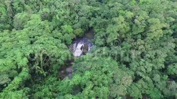 科尔的恩加邦瀑布水和丛林X视频的预览图