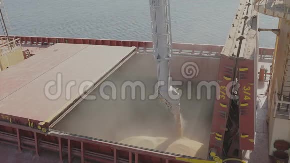 装粮入船运粮的船水中小麦运输视频的预览图