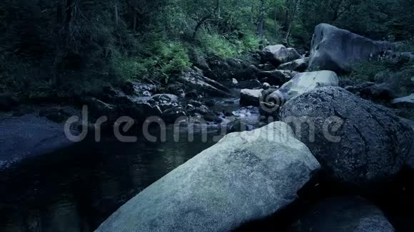 黑暗诡异的森林有水流和岩石在哈兹山地景观视频的预览图