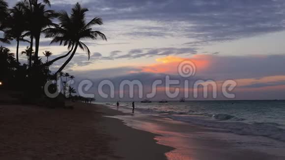 热带天堂岛海滩和海洋与椰子棕榈树假期和暑假视频的预览图