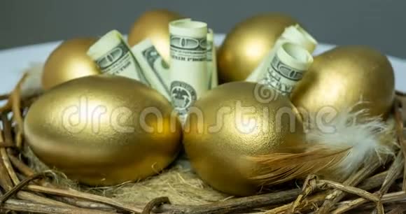 鸟窝里金蛋有钞票有投资退休储蓄视频的预览图