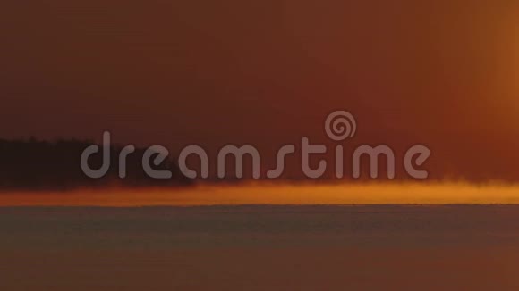 橘黄色的黎明雾气笼罩海面上的海岸背景和树木视频的预览图