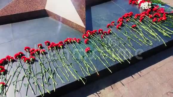 城市街头纪念胜利的红鲜康乃馨视频的预览图