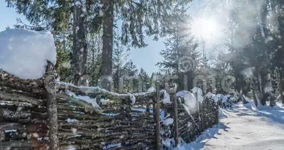 电影院森林里冬天阳光明媚的风景带着房子缓慢美丽的降雪视频循环视频的预览图
