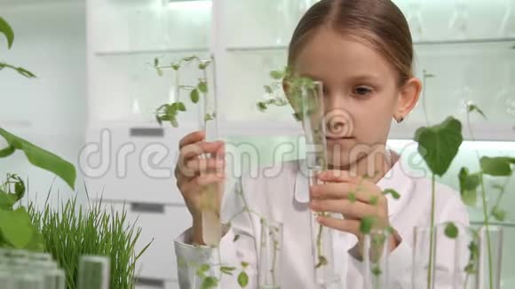 化学实验室儿童学校科学种植苗木植物生物学班视频的预览图