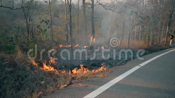 在国家公园附近的公路上上升变化危机旱季森林野火Fotage4k视频的预览图