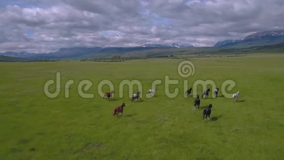 蒙大拿州野马奔跑2017年6月4K激励2方案视频的预览图