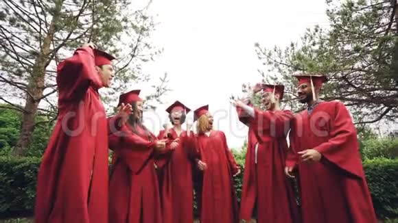 快乐的毕业生把传统的帽子扔在天空中在毕业时开怀大笑视频的预览图