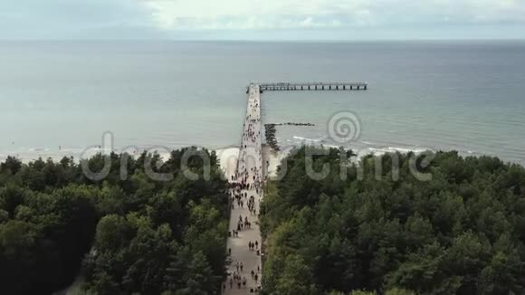 帕兰加立陶宛2019年7月在帕兰加著名的波罗的海海岸码头的空中全景和海景视频的预览图