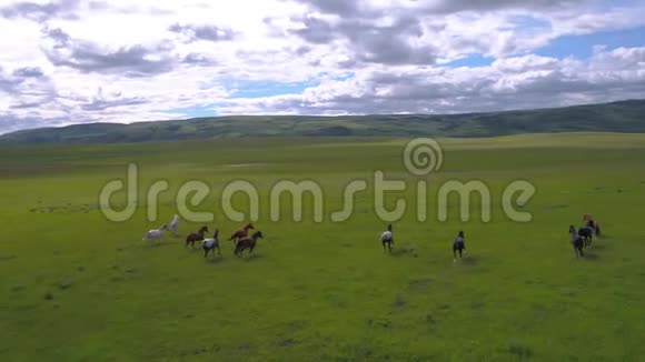 蒙大拿州野马奔跑2017年6月4K激励2方案视频的预览图