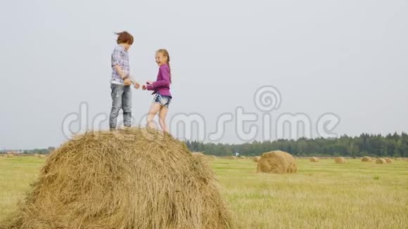 十几岁的女孩和男孩在农村的干草堆上跳跃快乐的青少年从干草堆里扔稻草视频的预览图