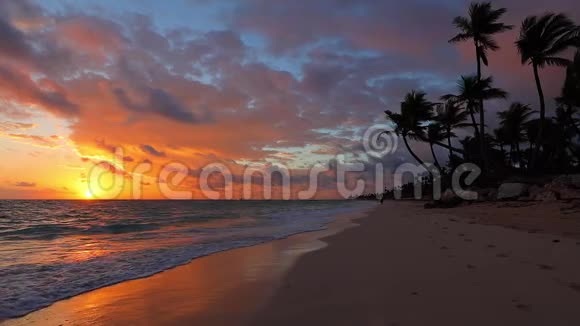 日出覆盖热带岛屿海滩和棕榈树异国海岸视频的预览图