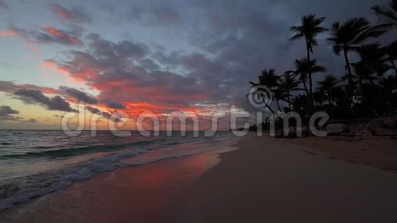 日出覆盖热带岛屿海滩和棕榈树异国海岸视频的预览图