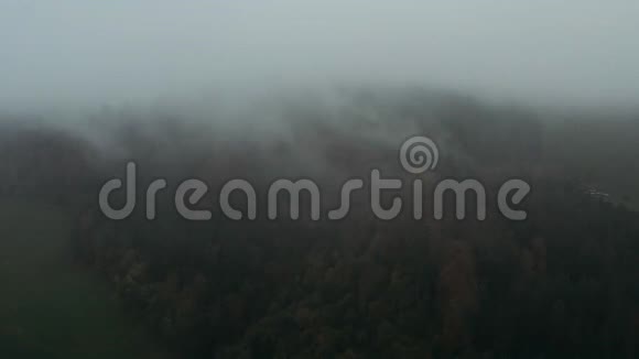 空中无人驾驶飞机高垂镜头靠近山边的一片森林在一个薄雾和阴天在阿尔卑斯山视频的预览图