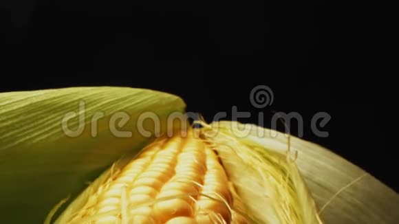 黑色背景近景玉米芯上的美味玉米视频的预览图