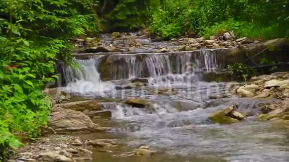 在群山中流淌着河流平静的河水清澈的溪水乌克兰喀尔巴阡山视频的预览图