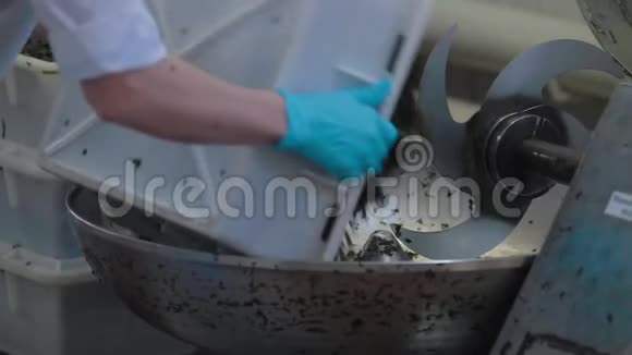 鱼类加工厂生产海洋产品的工厂洗海藻灯藻厂海产视频的预览图