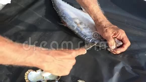 清洗和切割新鲜鱼刚抓到视频的预览图