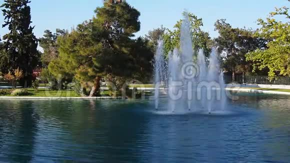 公园湖中的喷泉视频的预览图