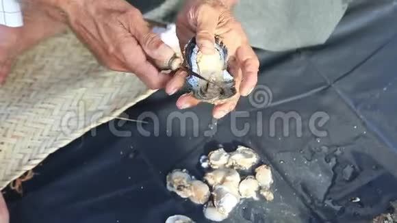 男子打开珍珠牡蛎手在框架视频的预览图