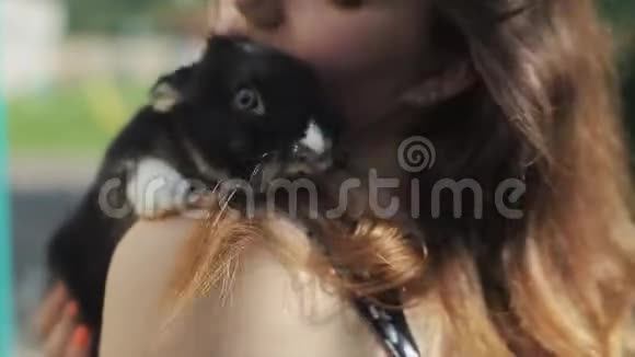 美丽的年轻女孩的肩膀上的黑色毛茸茸的兔子近景户外活动视频的预览图