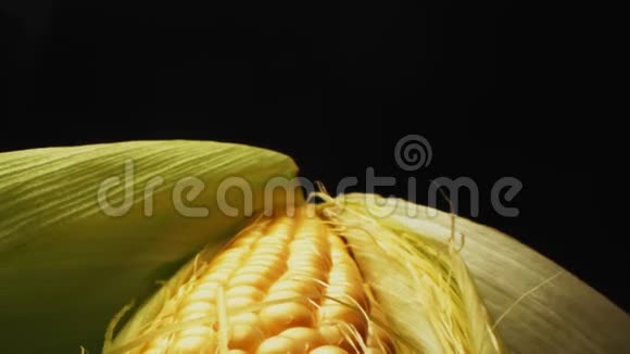 玉米在黑色背景下的叶子上的运动视频的预览图