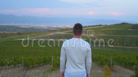 一个人站在山上附近的葡萄园里站在架子上举起双手视频的预览图