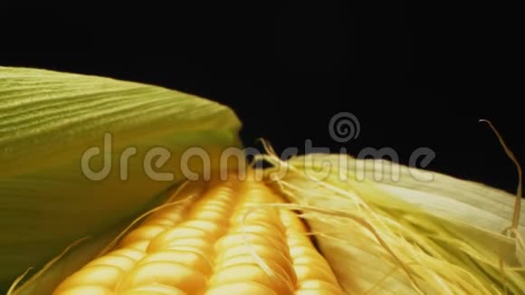 金色的玉米芯与新鲜的叶子对抗黑暗的宏观视频的预览图