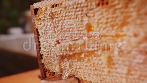 桌上的特写镜头上放着金色蜂蜜的大块蜂窝视频的预览图