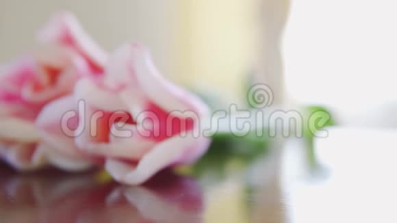 粉红色郁金香花头在桌子宏观与滑动相机动作接近视频的预览图