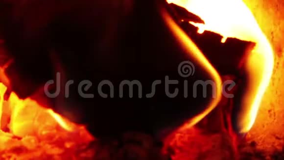 篝火火灾背景视频的预览图