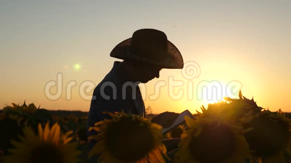 农夫的剪影带着平板电脑的商人在日落时用向日葵检查田野农夫奥萨米特里瓦花视频的预览图