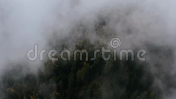 云在山上快速移动秋林视频的预览图