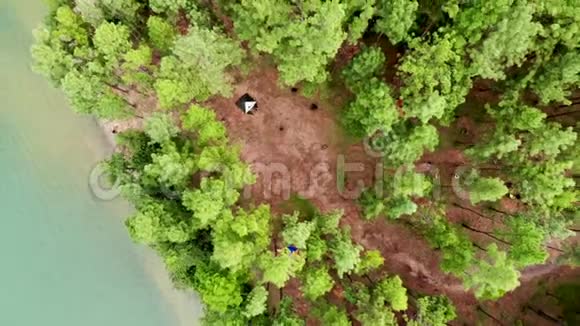 胡佛松树种植园的空中拍摄视频的预览图
