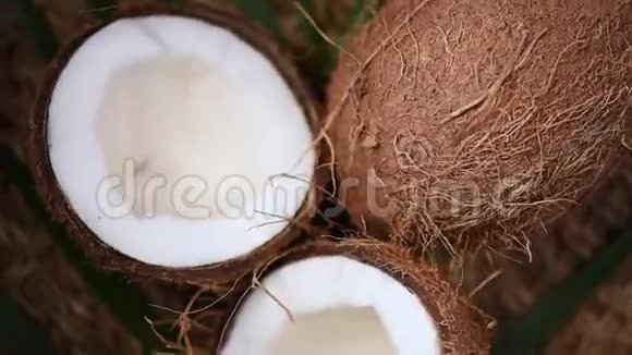 棕榈枝上的熟椰子旋转背景上景热带水果健康食品护肤理念椰子视频的预览图