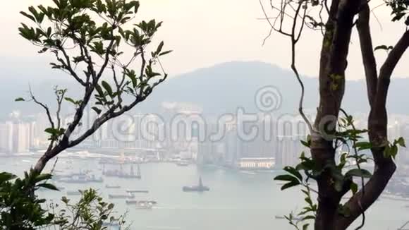 在阴天透过树木从山上观赏香港维多利亚湾视频的预览图