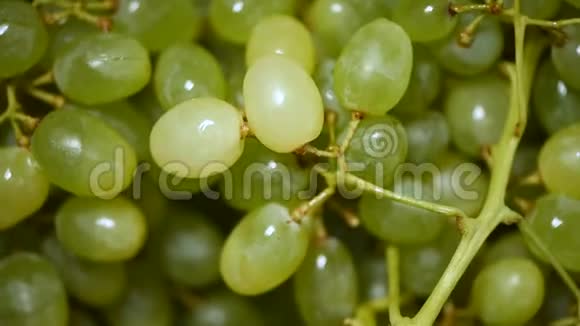 旋转背景上的新鲜绿色葡萄上景素和生食概念葡萄汁的质地视频的预览图