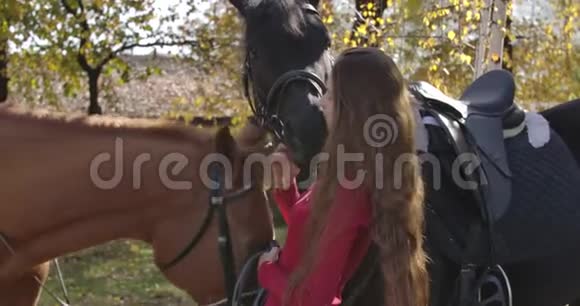 白种人雌性马术运动员在秋天的森林里亲吻黑马棕色长发的漂亮女孩视频的预览图