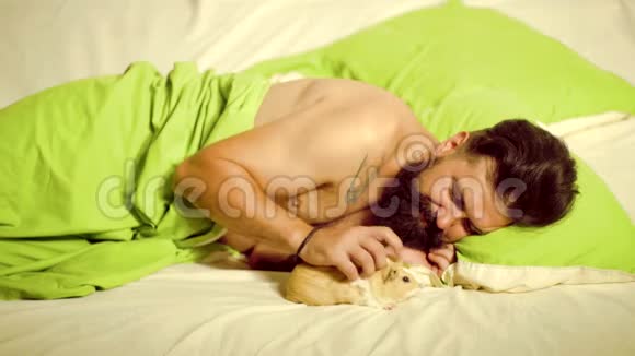 男人和几内亚猪睡在床上很高兴和宠物上床躺在床上的人试图放松和入睡视频的预览图