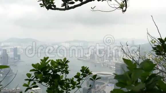 在阴天透过树木从山上放大香港维多利亚湾的景观视频的预览图